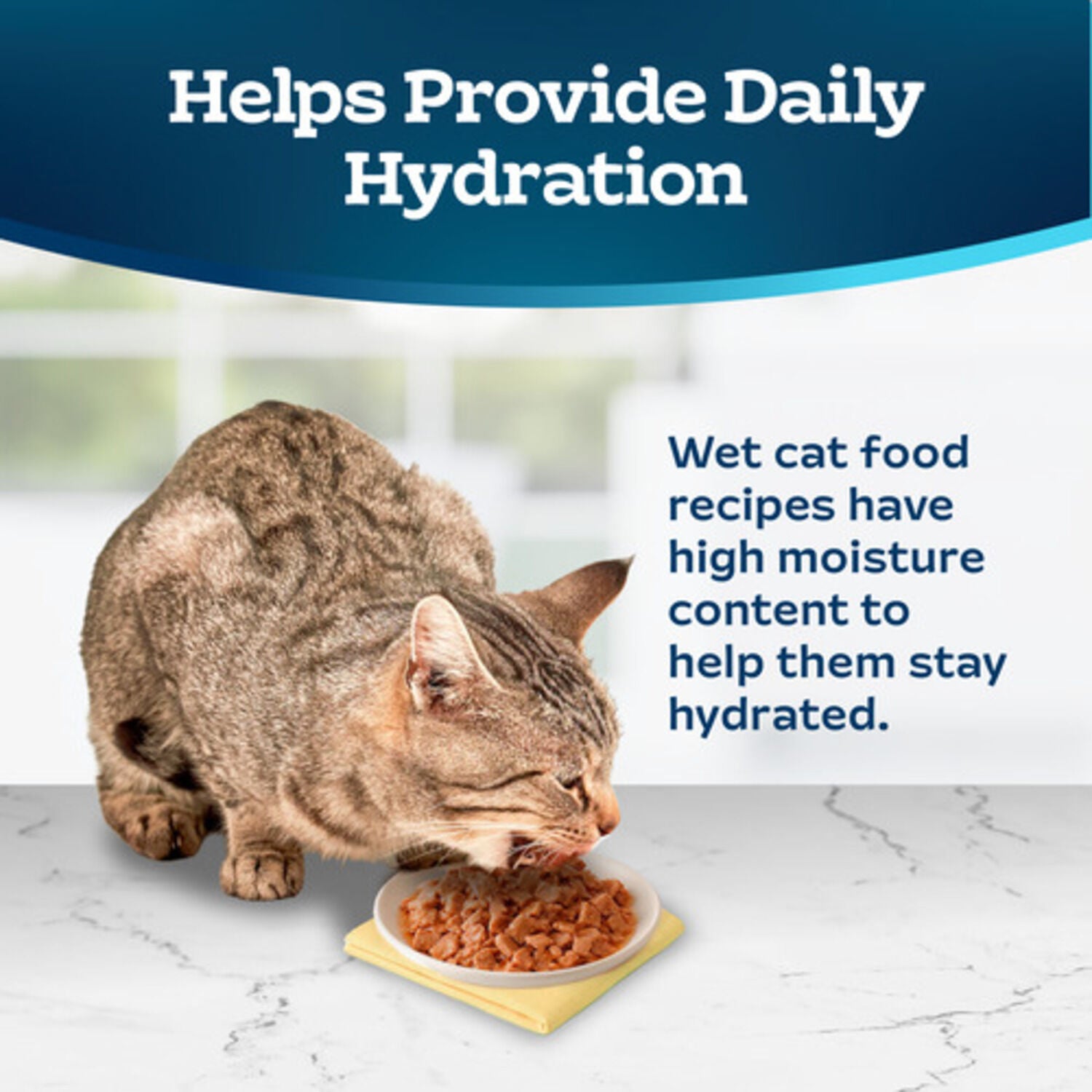Blue Buffalo Tastefuls Adult Wet Cat Food, Tuna Entree In Gravy Morsels, 3-Oz