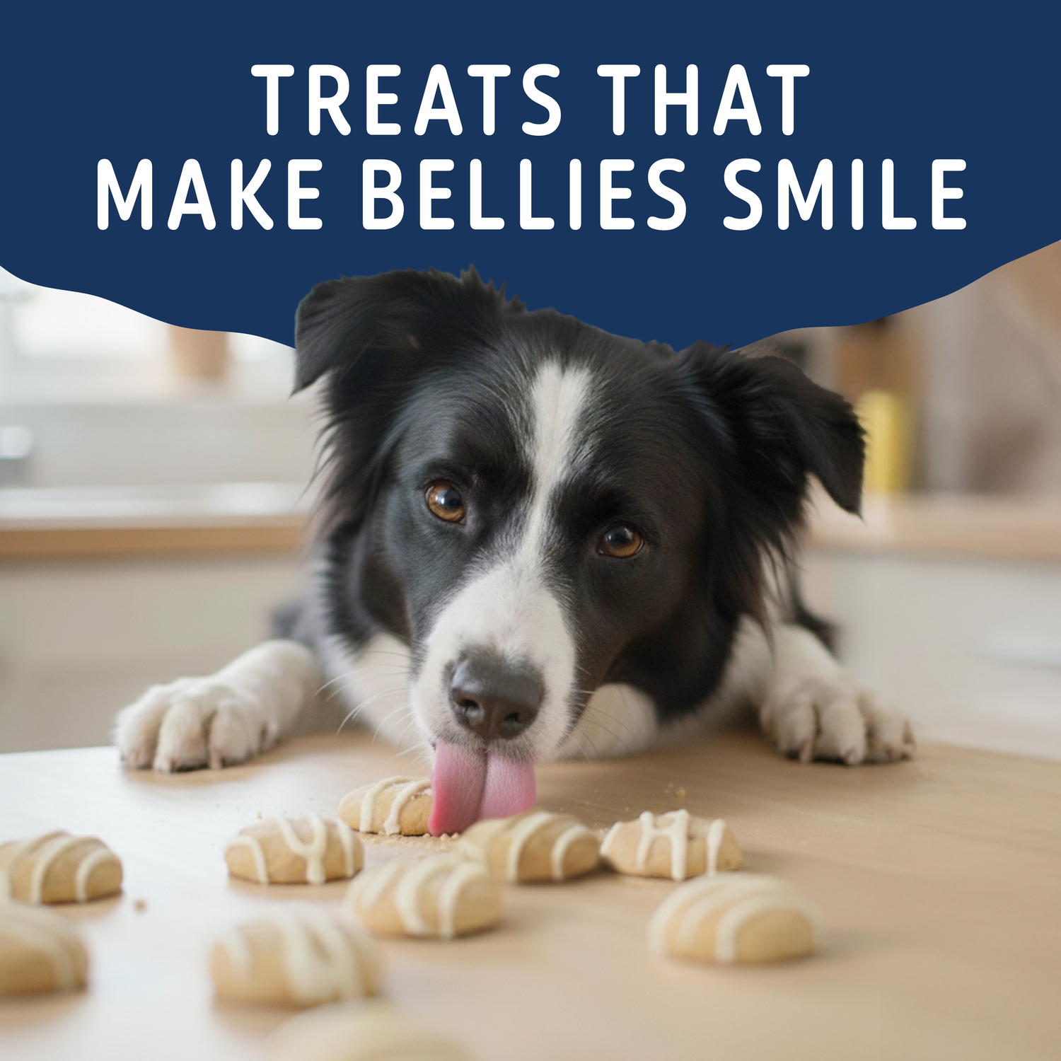Natural Balance Yo-Gut Bites Biscuit Dog Treats, Peanut Butter & Banana With Greek Yogurt Drizzle, 4.5-Oz Bag