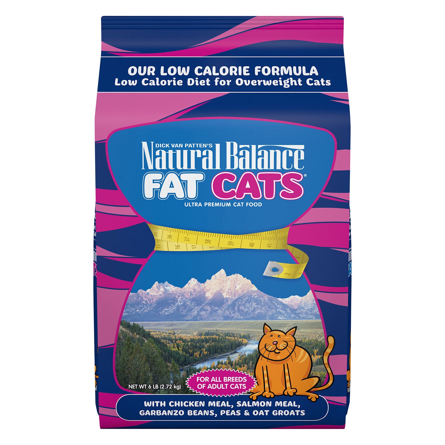 Dry cat food best sale for overweight cats