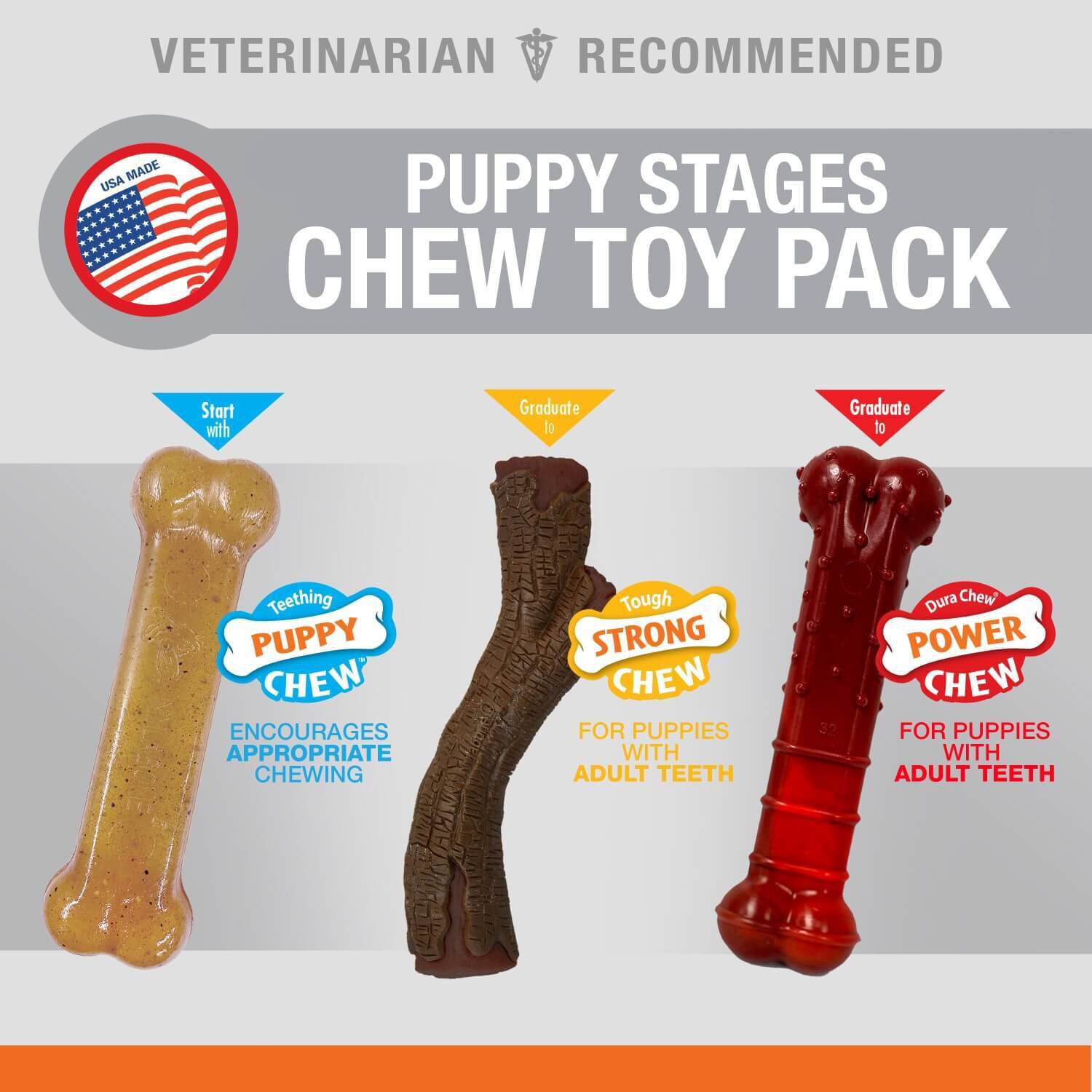 Nylabone Puppy Chew Stages Triple Pack Dog Chew Toys