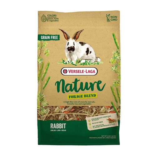 Nature Forage Rabbit