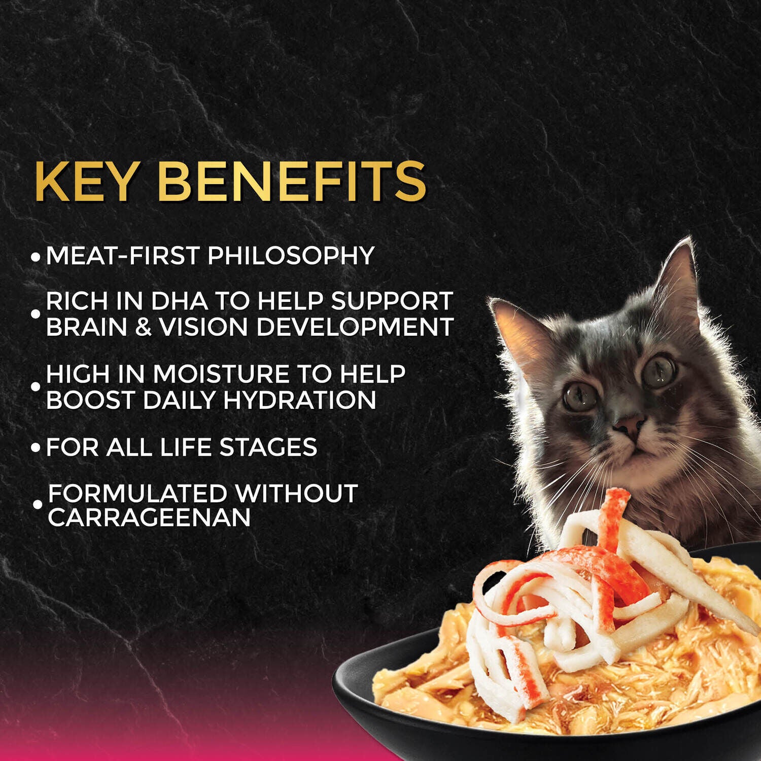 Fussie Cat Premium Wet Cat Food, Tuna With Oceanfish In Gravy - 2.62Oz