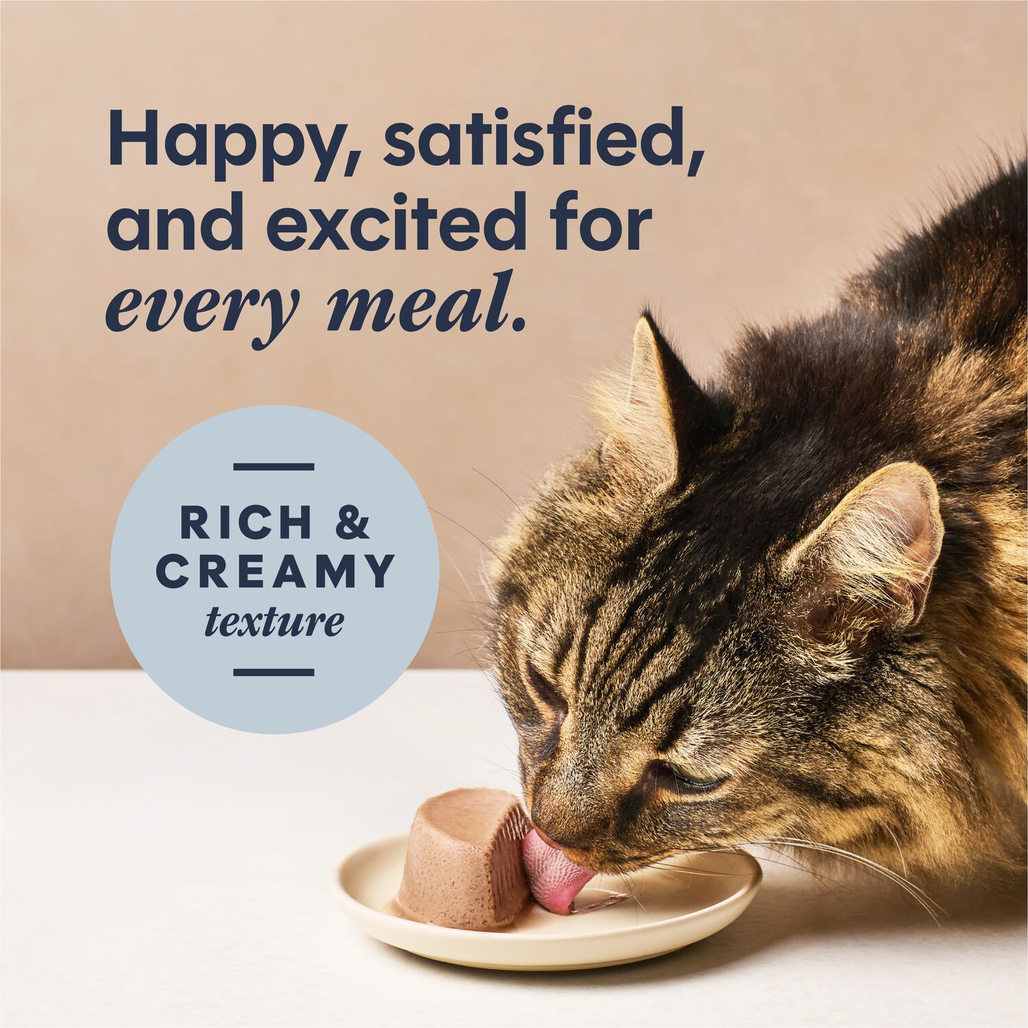 Instinct Pate Grain-Free Wet Cat Food, Duck Entr&eacute;e,&nbsp;2.64-Oz Split Cup