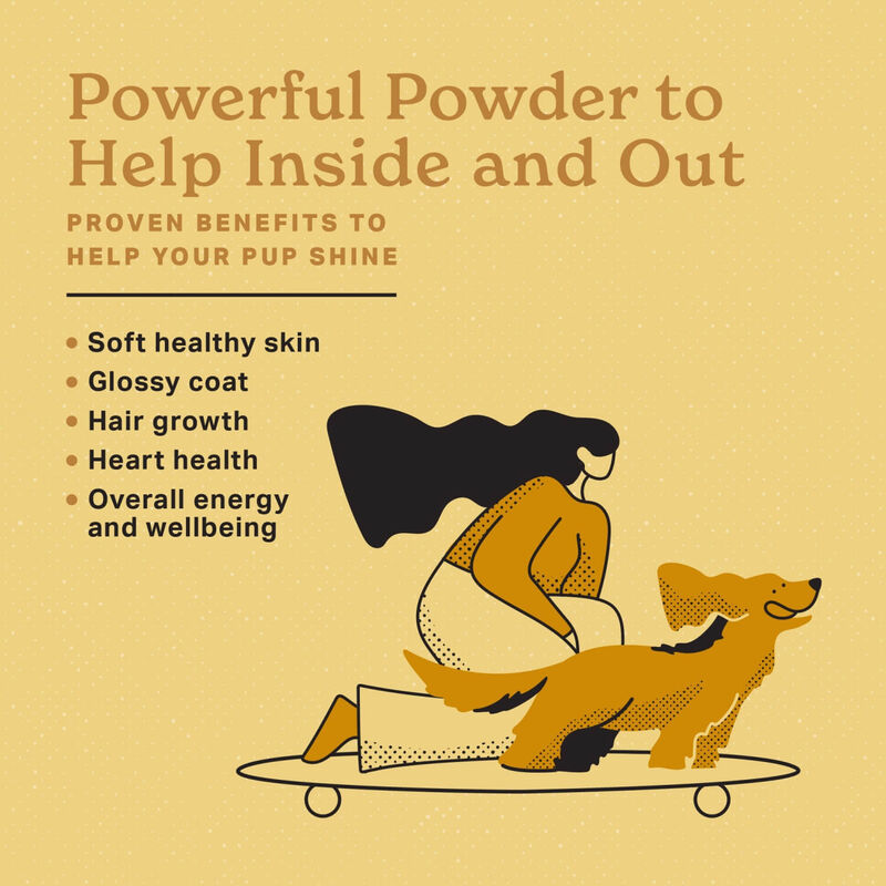 Skin & Coat Powder Supplement For Dogs