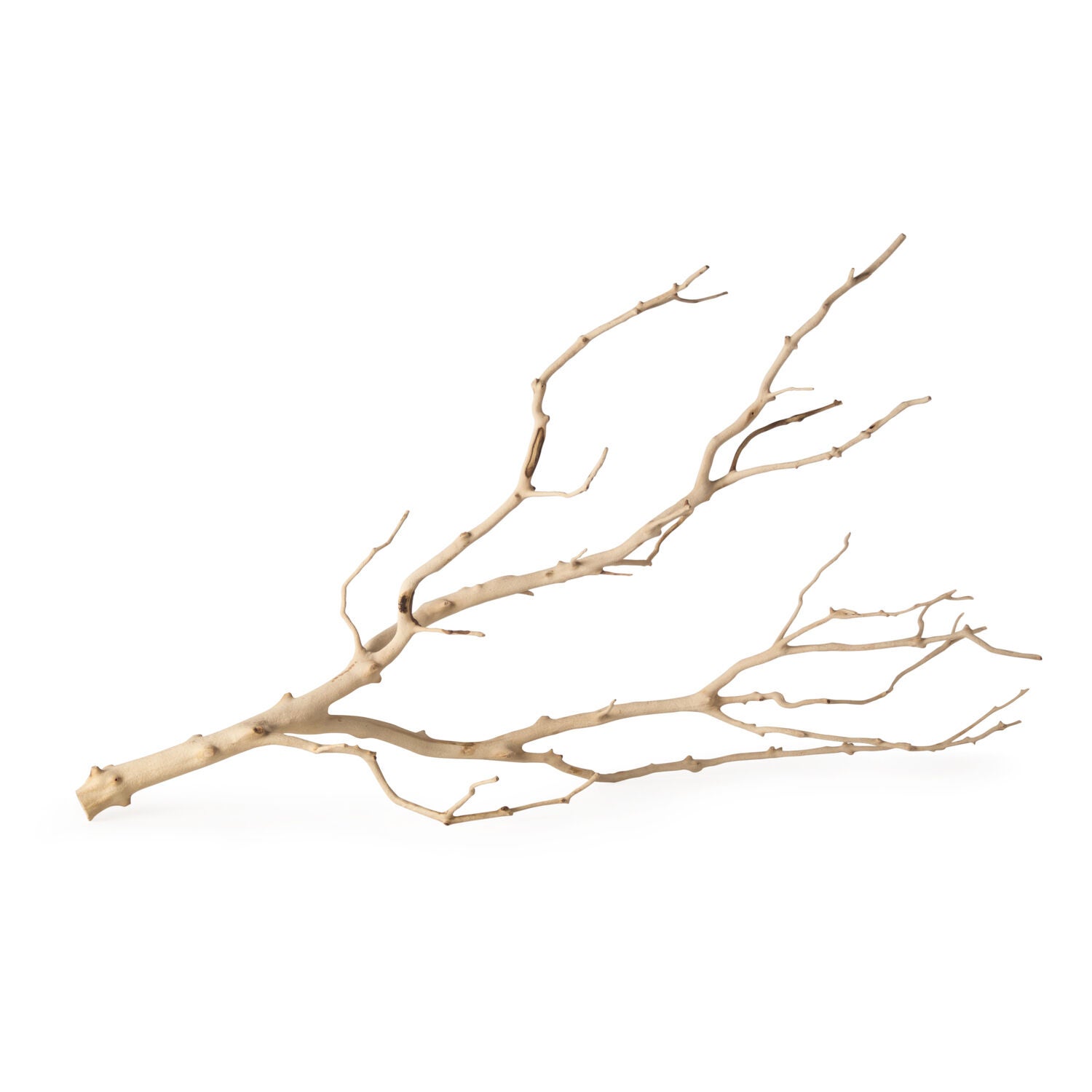 Gal&aacute;pagos Staghorn Branch Aquarium And Terrarium Decor, Manzanita Branch, Natural 19-24In