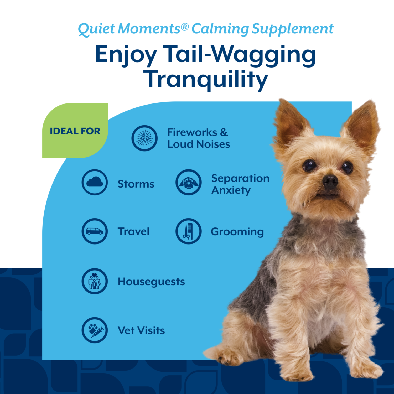 Naturvet Quiet Moments Calming Aid + Melatonin Soft Chew Dog Supplements