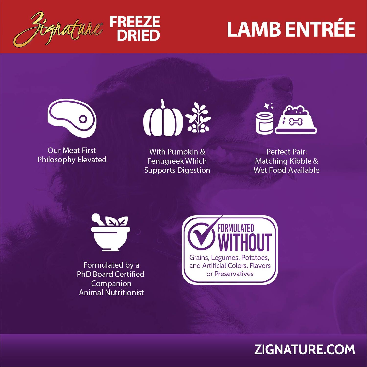 Zignature Grain-Free Lamb Entr&eacute;e Freeze-Dried Dog Food, 12.5-Oz Bag