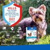 Adams Plus Flea & Tick Prevention Spot On For Dogs, Small Dogs 5 14 Lbs