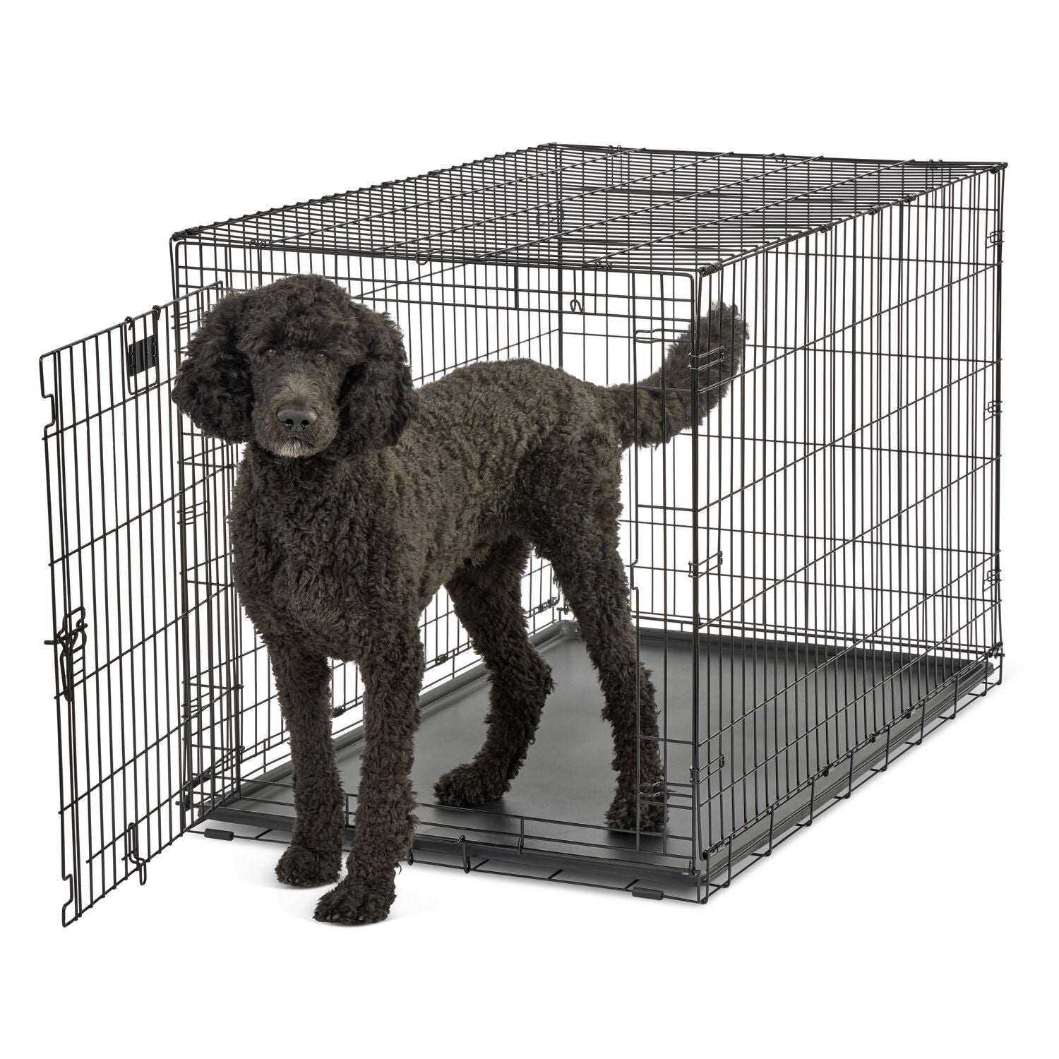 Aristopet Single Door Dog Crate