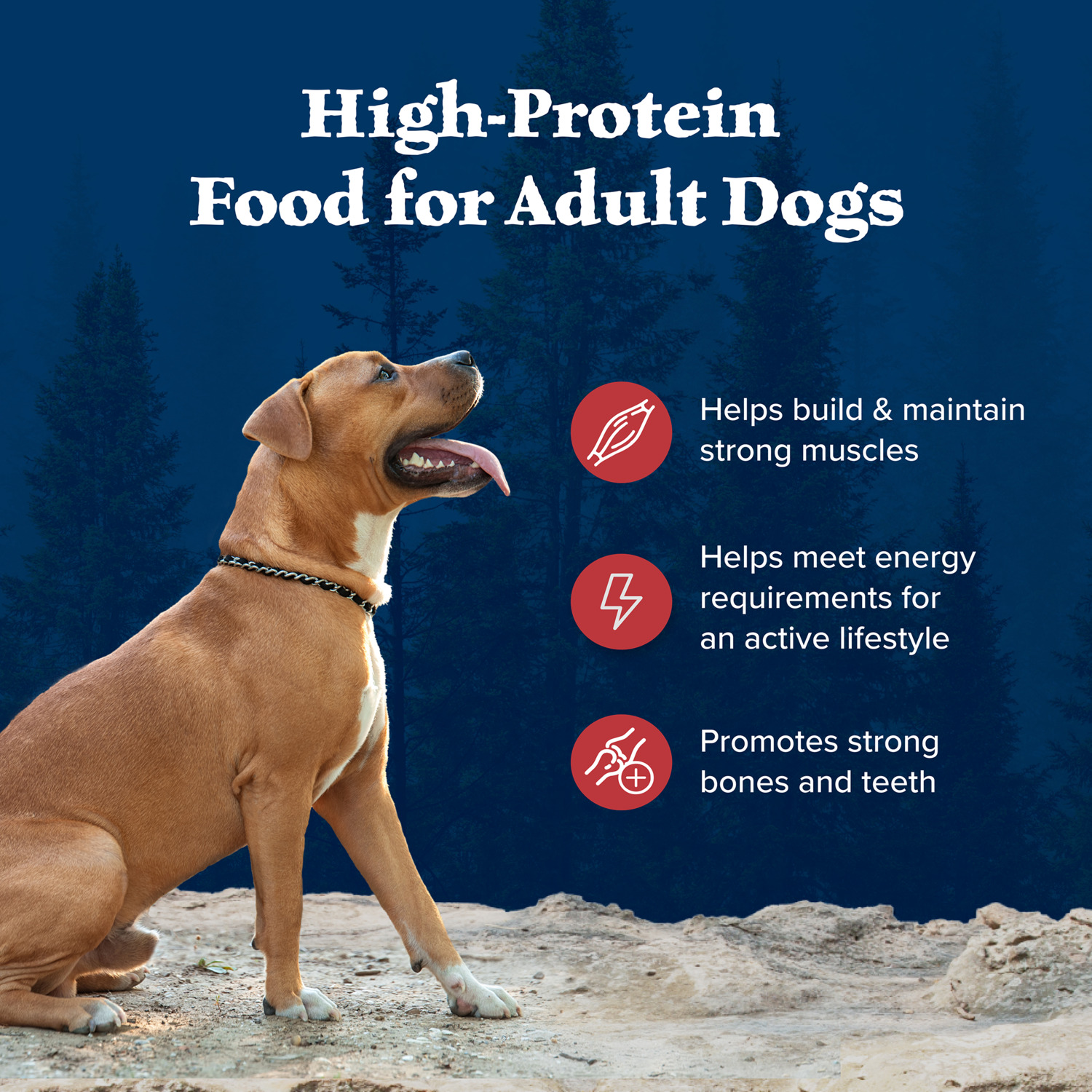 Blue Buffalo Wilderness Rocky Mountain Recipe Adult Red Meat Dog Food