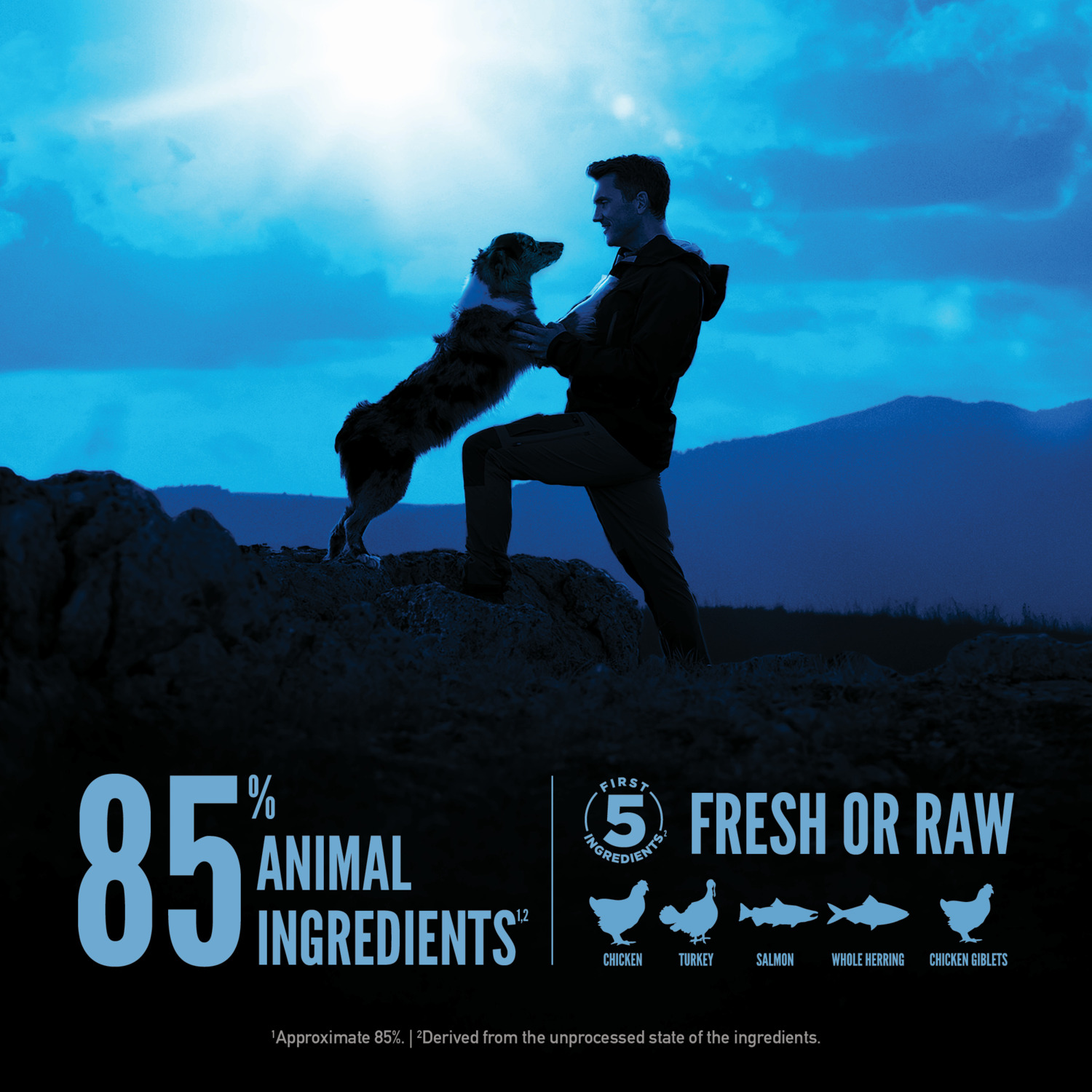 Orijen Wild Reserve Dry Dog Food, Free-Run Chicken Dry Dog Food, 4-Lb