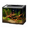 Ascent Frameless Led Desktop Aquarium Kit 6 Gal thumbnail number 1