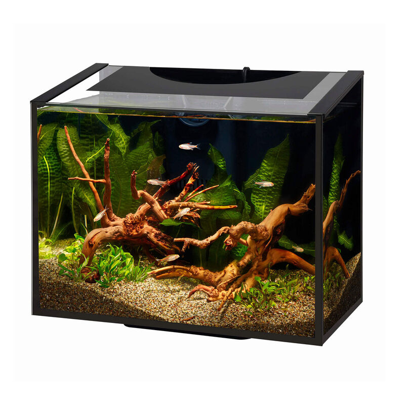 Ascent Frameless Led Desktop Aquarium Kit 6 Gal image number 1