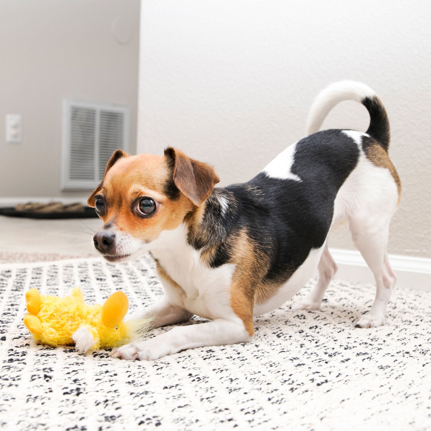 Kong Dr. Noyz Duck Plush Squeaky Dog Toy, 5"