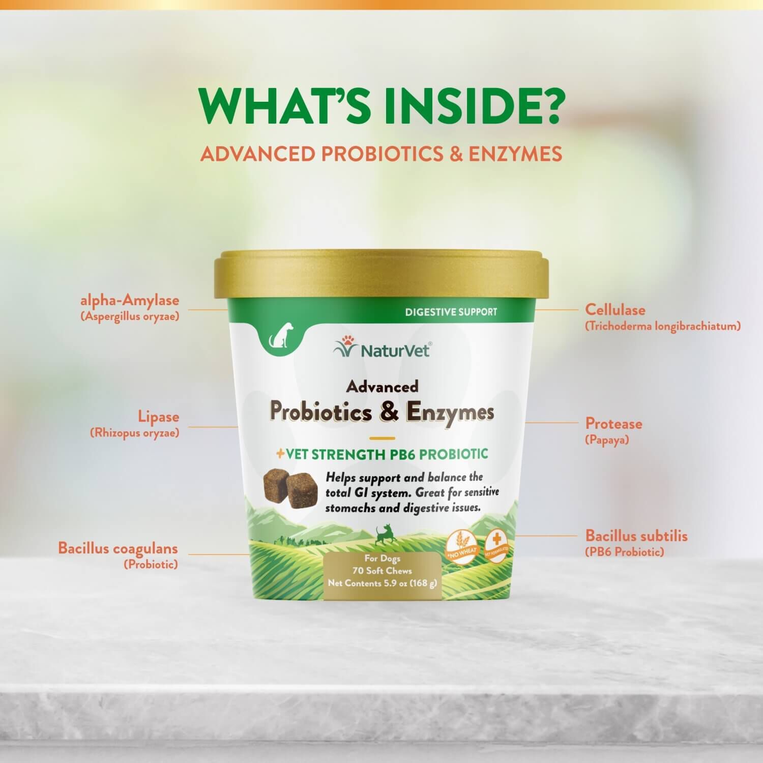 Naturvet Advanced Probiotics And Enzymes Supplement, Plus Vet Strength Pb6 Probiotic For Dogs