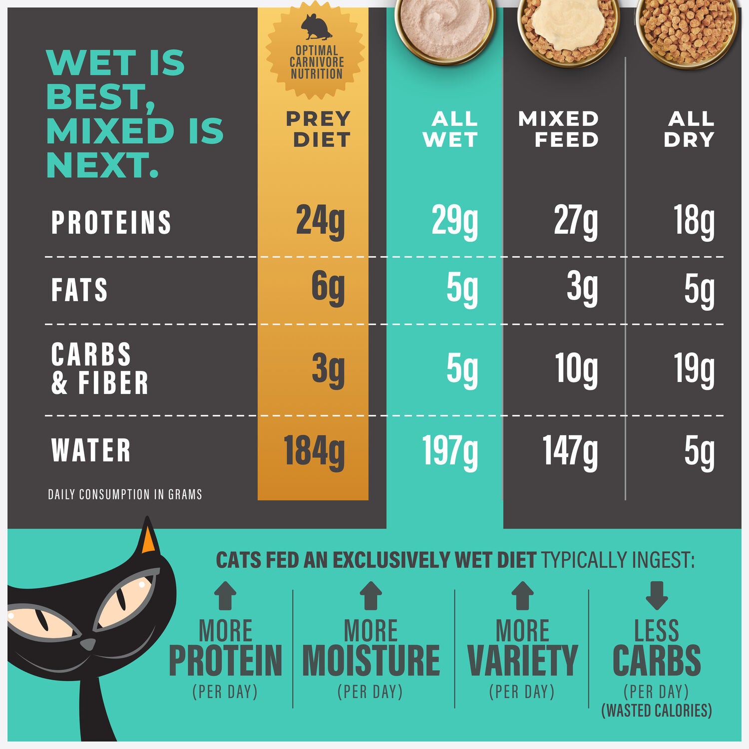Tiki Cat Solutions Mousse Wet Cat Food, Skin + Coat, Salmon Recipe In Broth, 2.4-Oz Pouch Pack Of 12