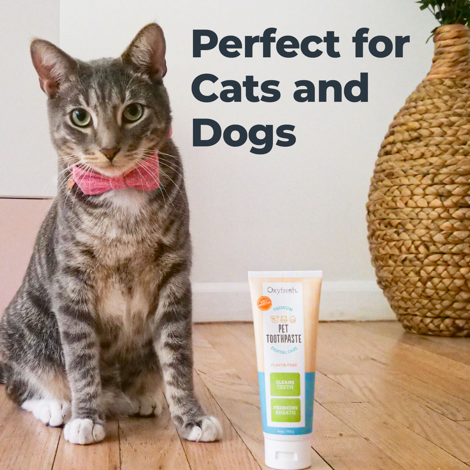 Oxyfresh Premium Vet Formulated Plaque & Tartar Cat & Dog Toothpaste, 4-Fl-Oz Bottle