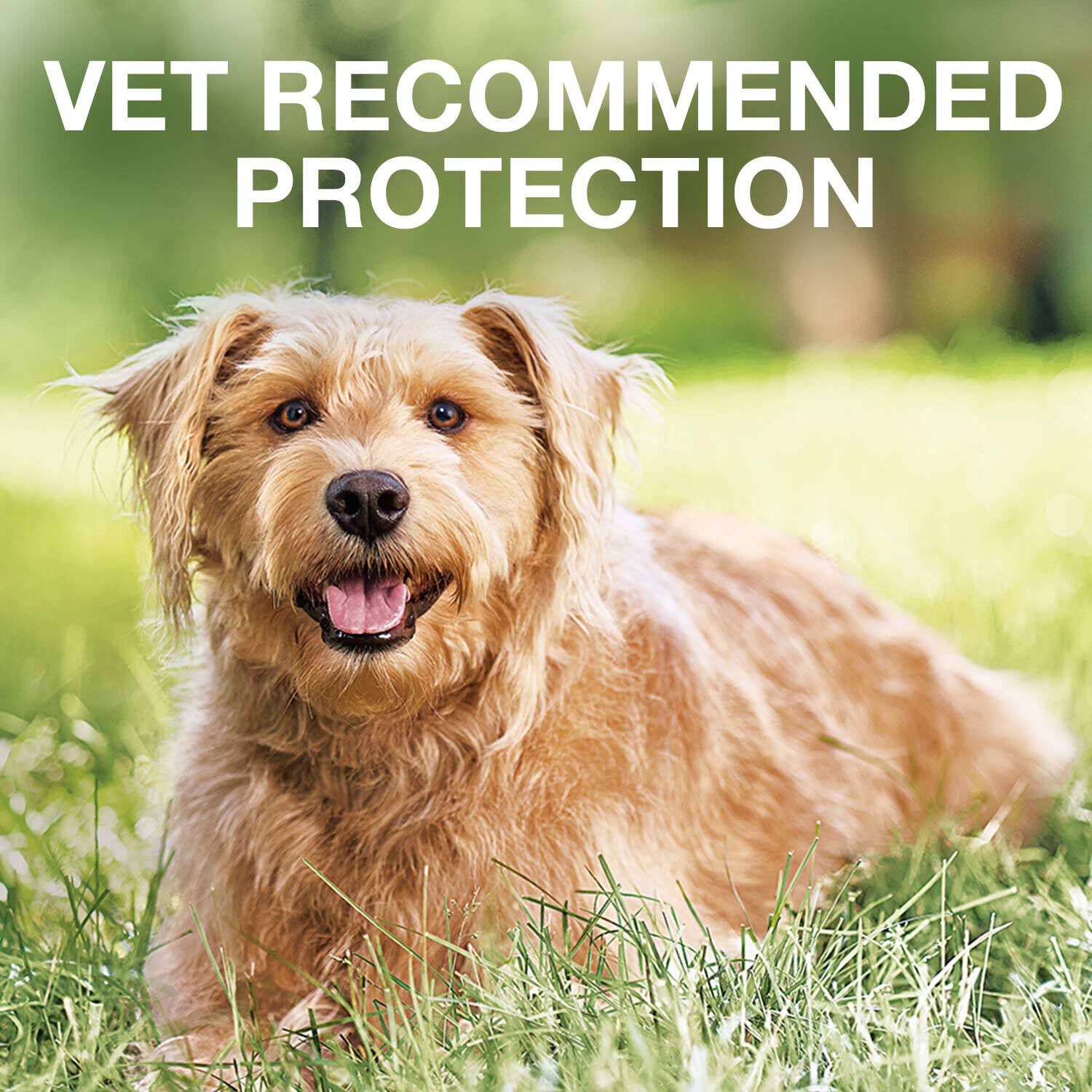Elanco K9 Advantix Ii Topical Flea, Tick & Mosquito Treatment & Prevention For Medium Dogs (11-20-Lbs), 2-Months Of Protection