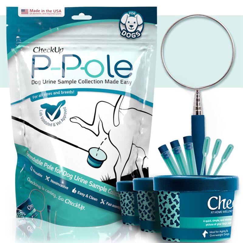 The P Pole Dog Urine Sample Collection Kit image number 2