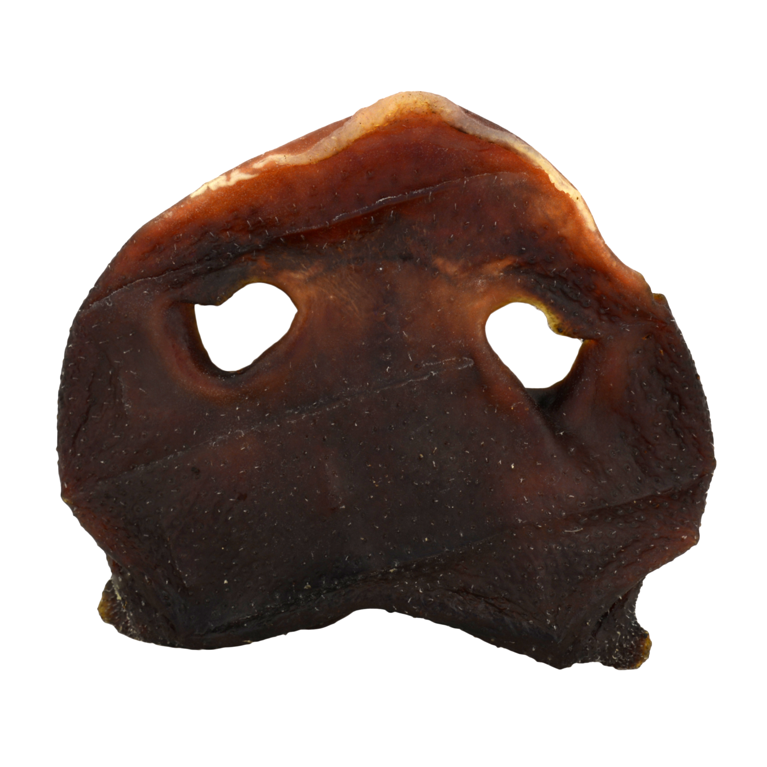Jones Natural Chews Pig Snout Chewy Natural Dog Treat