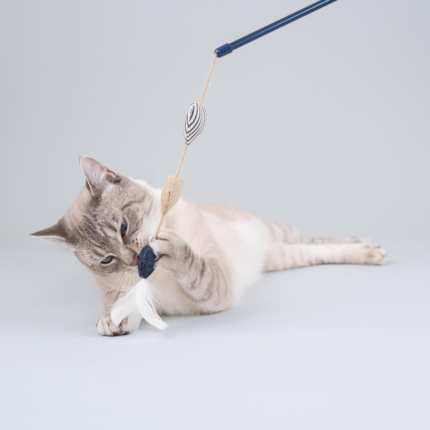 Gap Denim Hearts Teaser With Wand Cat Toy