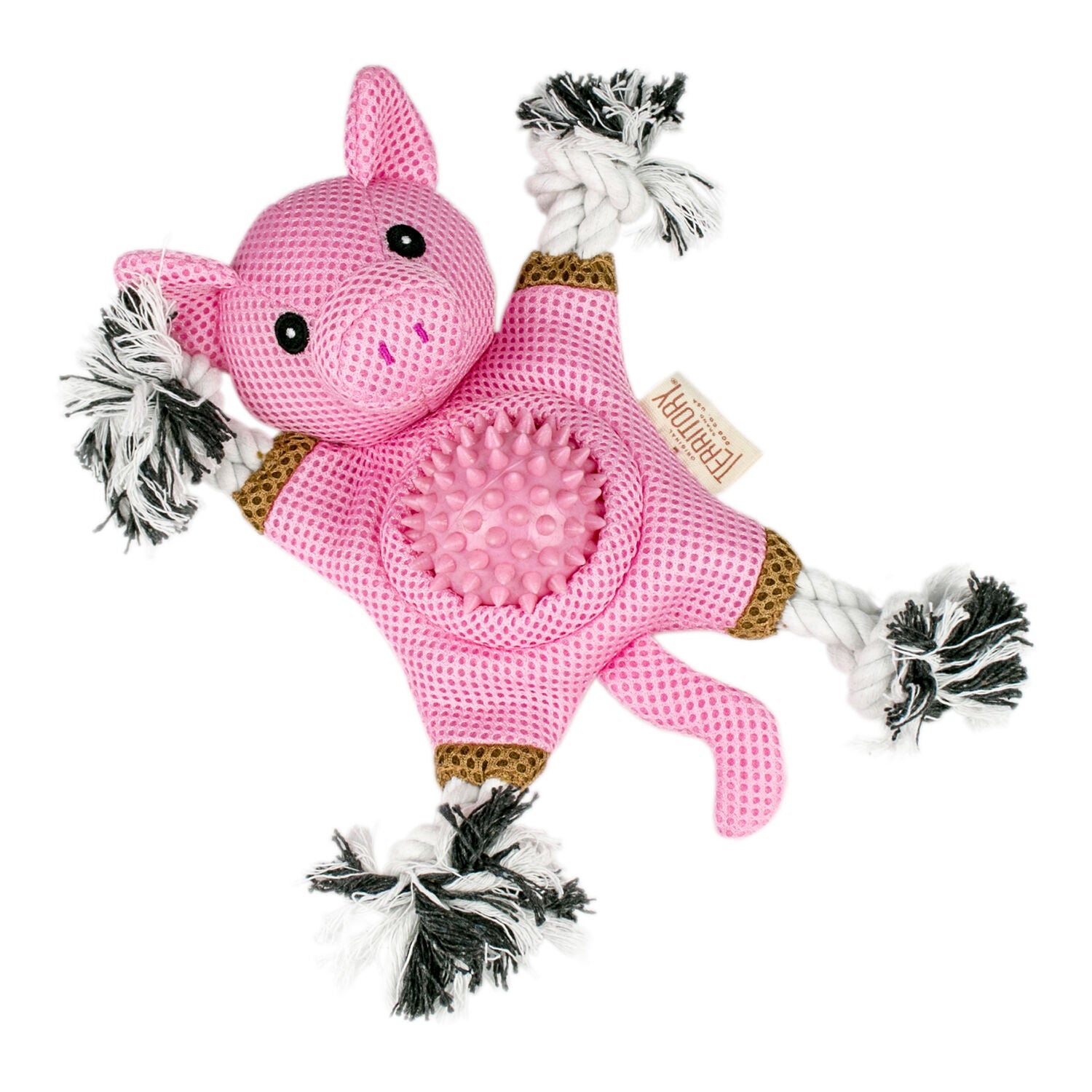 Territory Pig 2-In-1 Fetch & Tug Dog Toy, 10"