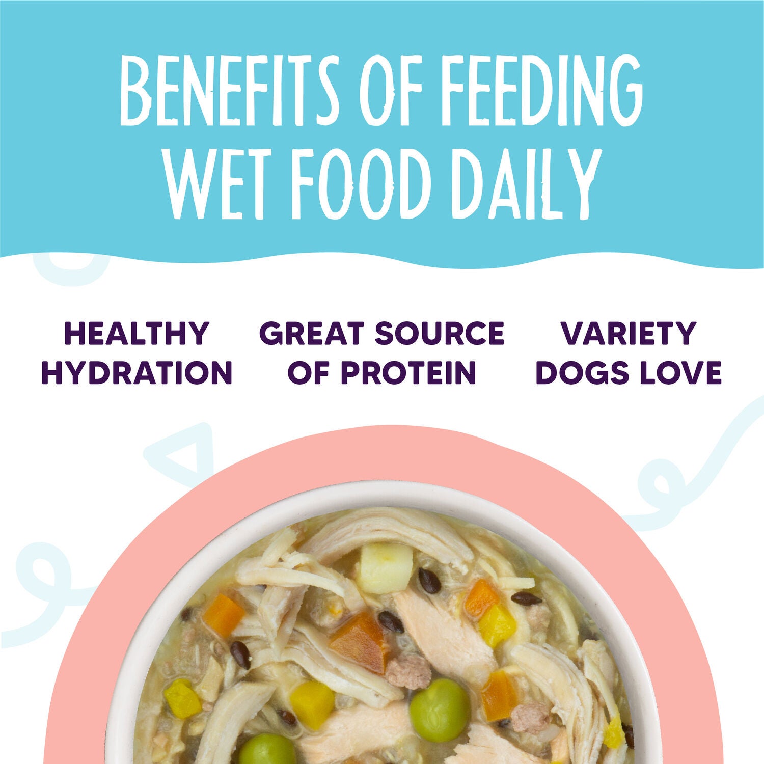 Weruva Meals 'N More Jammin' Salmon Recipe Plus Wet Dog Food, 3.5-Oz.
