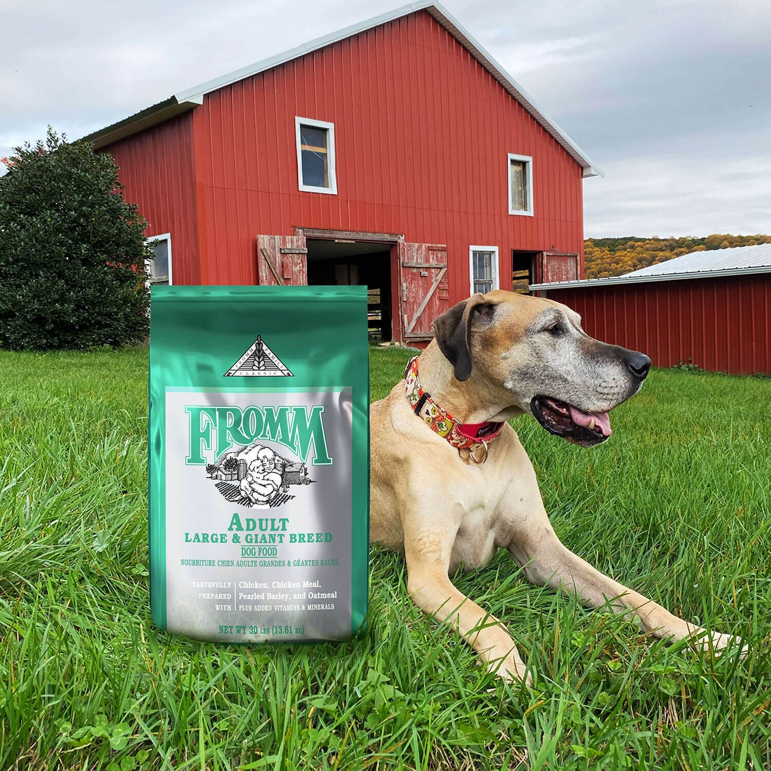 Fromm Classic Adult Large & Giant Breed Dry Dog Food, 30Lb | Pet