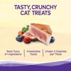 Kittles Tuna & Cranberries Recipe Cat Treats