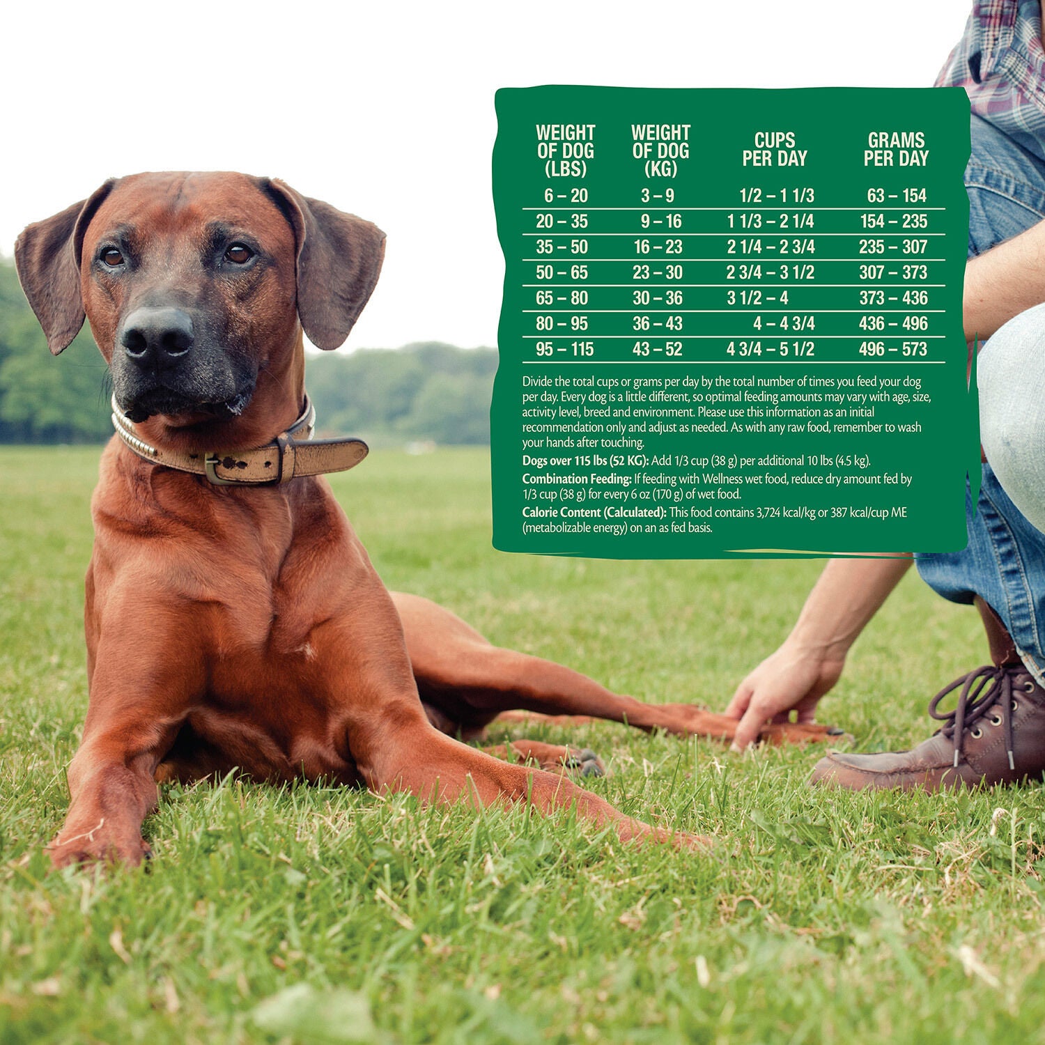 Wellness core wild online game dog food