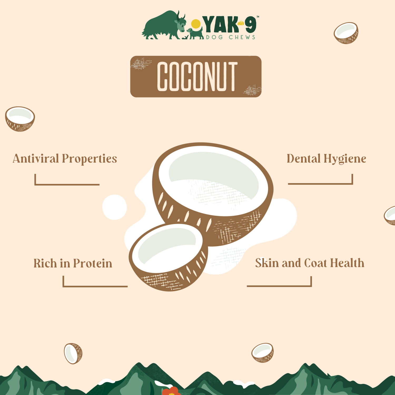 Yak9 Chews Natural Yak Cheese Chews Dog Treats, Coconut, Large, 1-Each