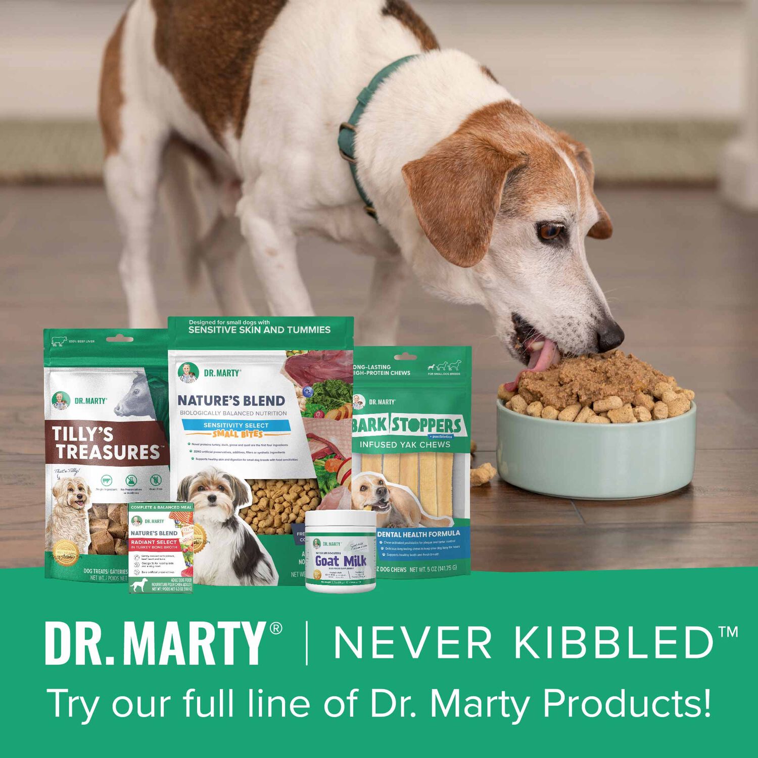Dr. Marty Nature's Blend Sensitivity Select Small Bites Freeze-Dried Raw Dog Food, 6-Oz