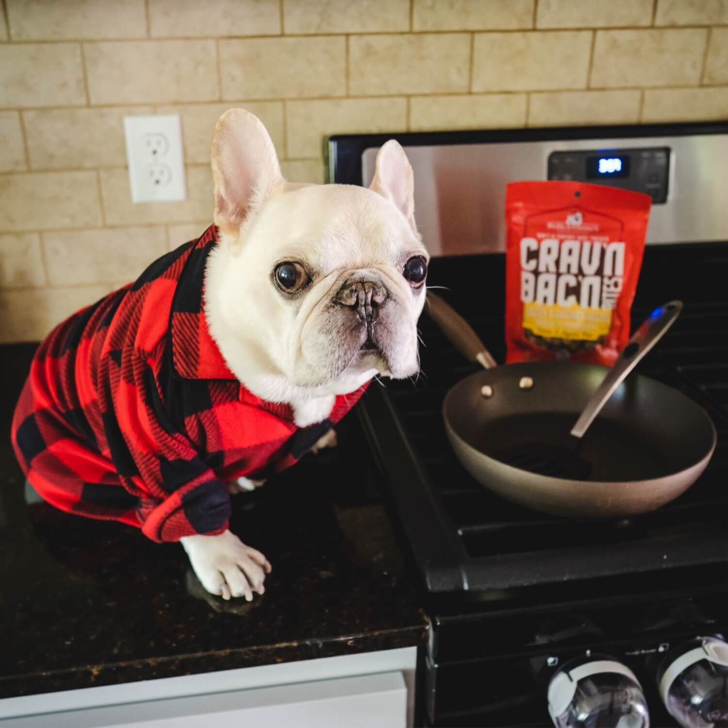 Stella & Chewy's Crav'n Bac'n Bites Bacon & Chicken Recipe Dog Treats