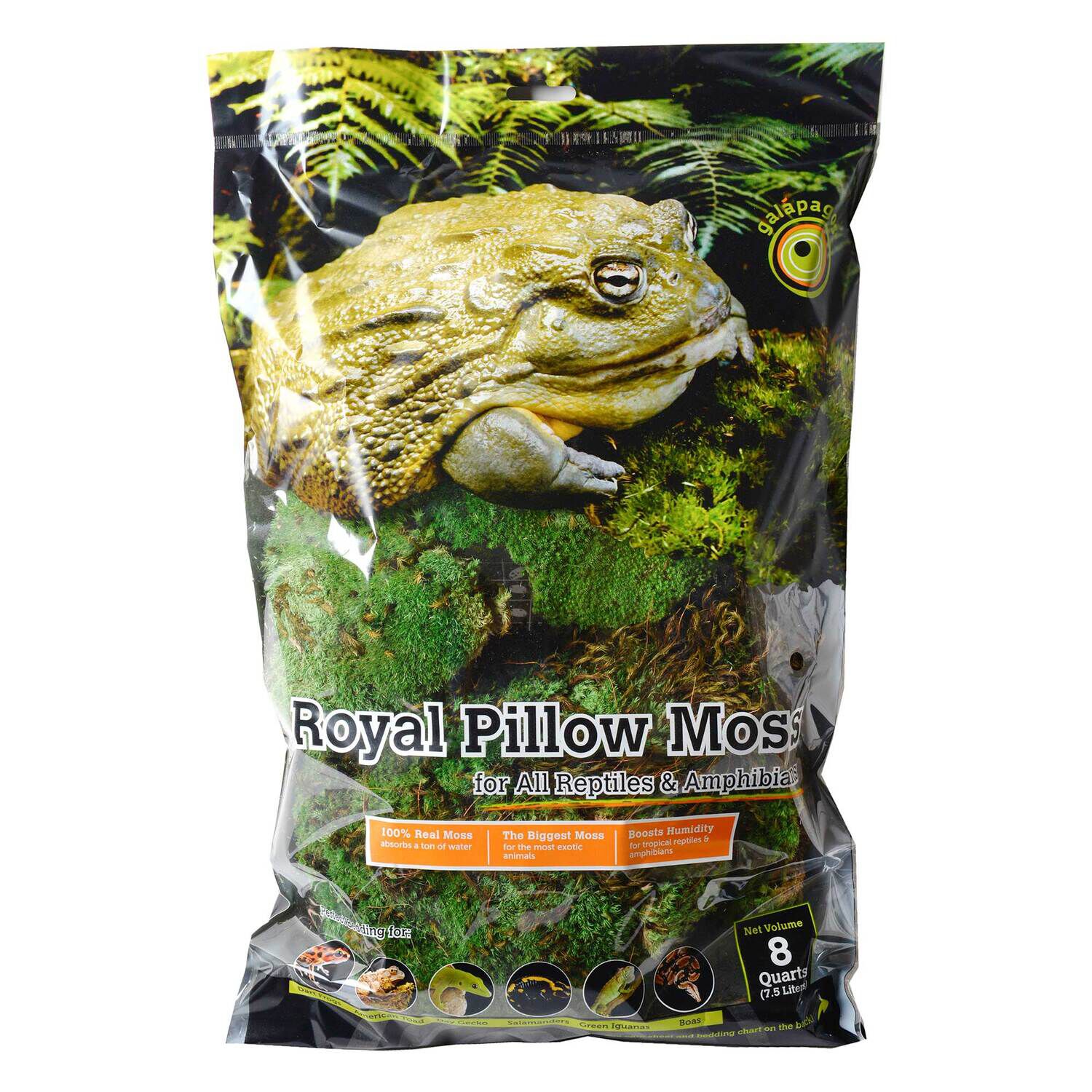 Gal&aacute;pagos Royal Pillow Moss Reptile And Terrarium Substrate, Fresh Green, 8Qt Bag