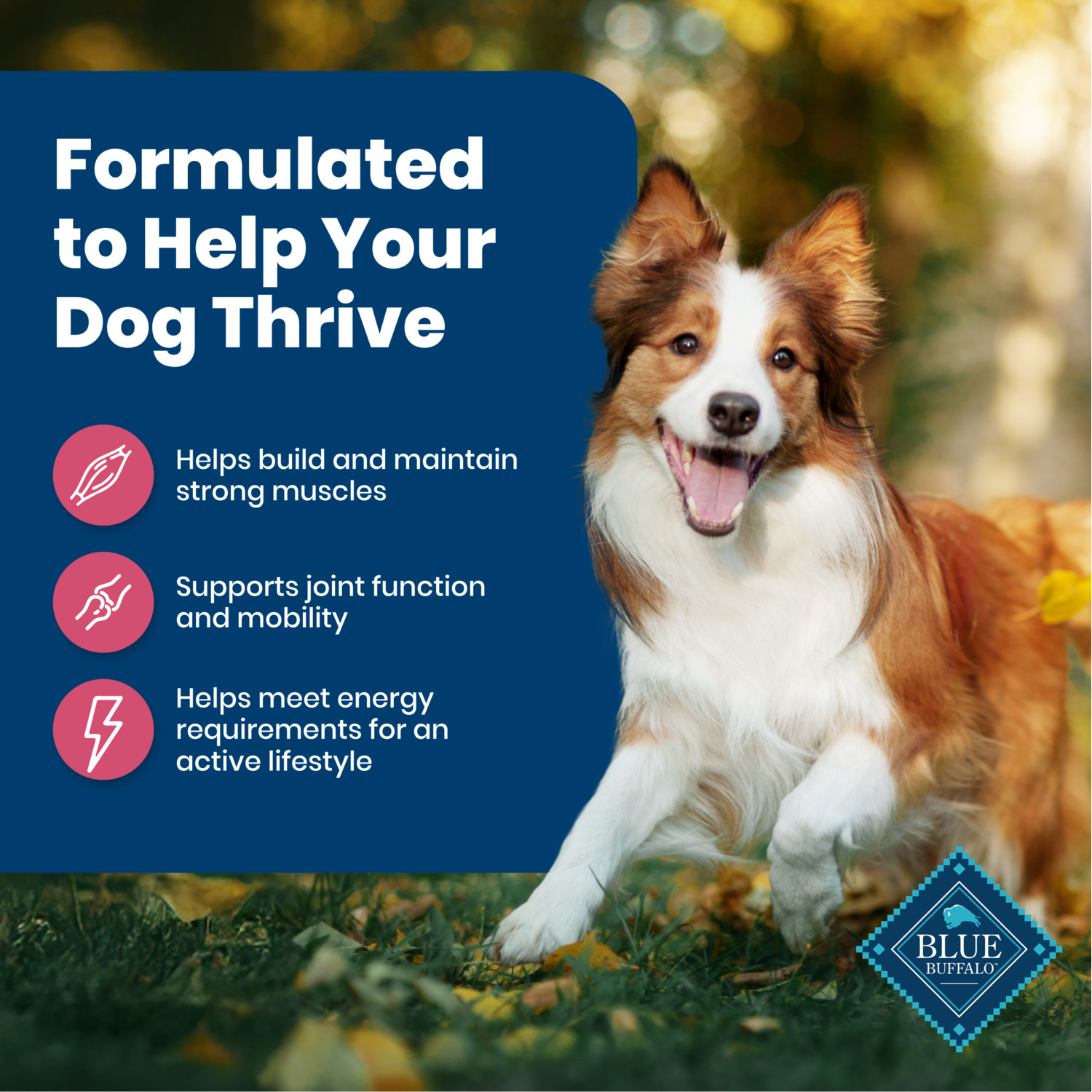Blue Buffalo Life Protection Formula Adult Salmon & Brown Rice Recipe Dry Dog Food, 5Lb