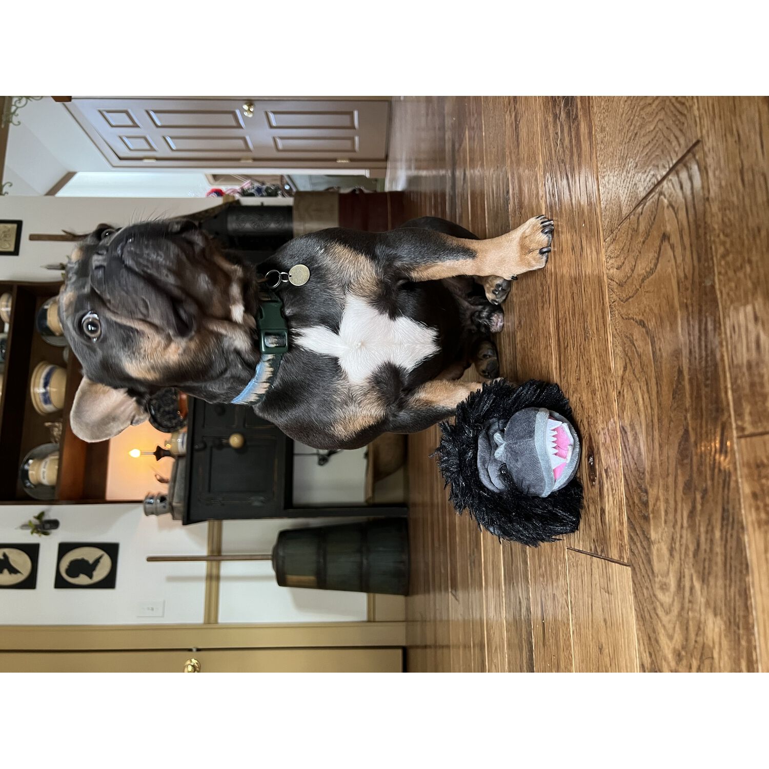 Tall Tails Gorilla 2-In-1 Fetch Ball Dog Toy