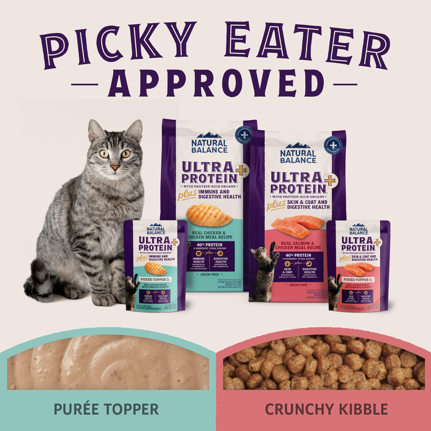 Natural Balance Ultra Protein Plus Wet Cat Food, Immune And Digestive Health Real Chicken With Pumpkin Recipe Puree Topper, 2.4-Oz.