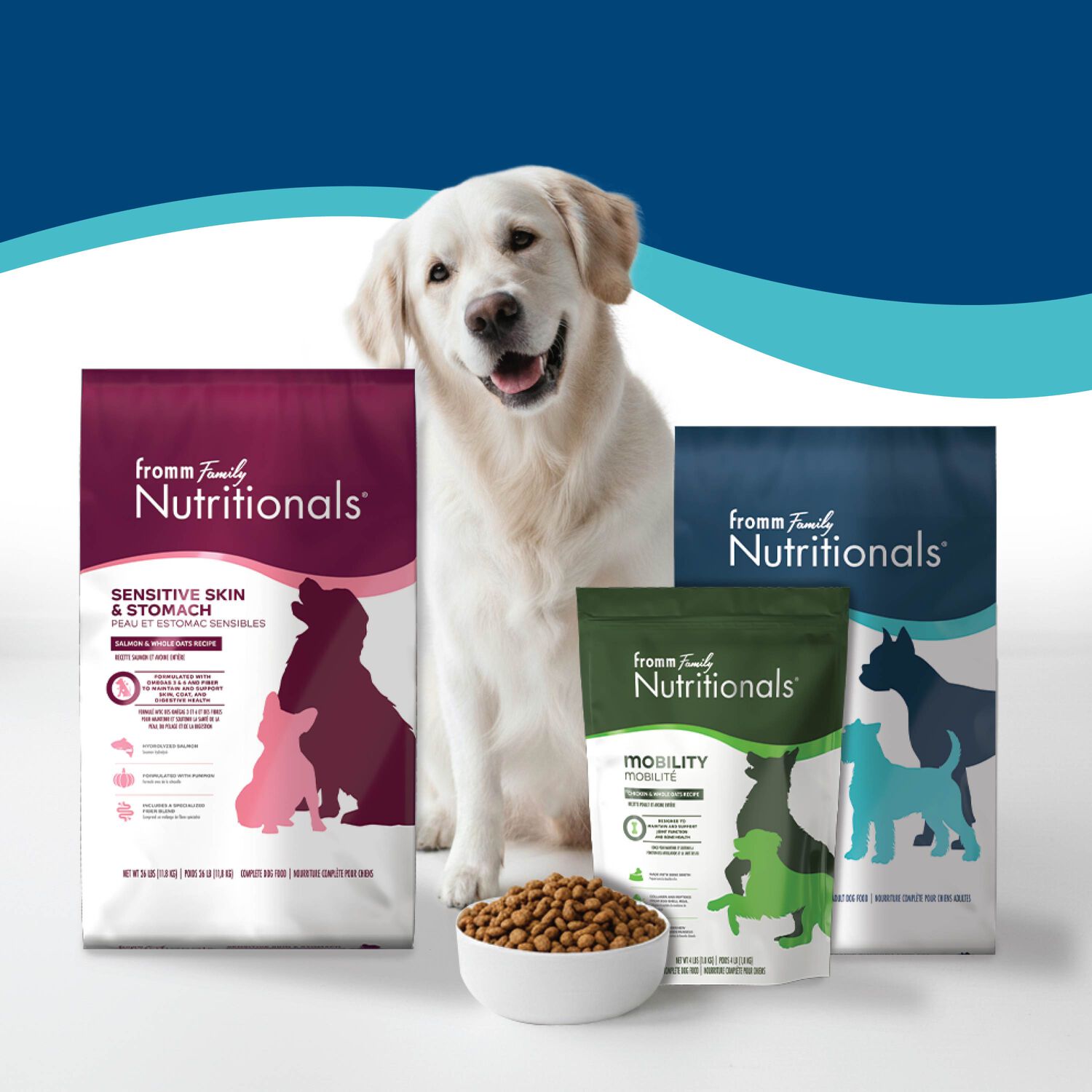 Fromm Nutritionals Digestive Support Low Fat Chicken & Oatmeal Dry Dog Food, 12-Lb Bag