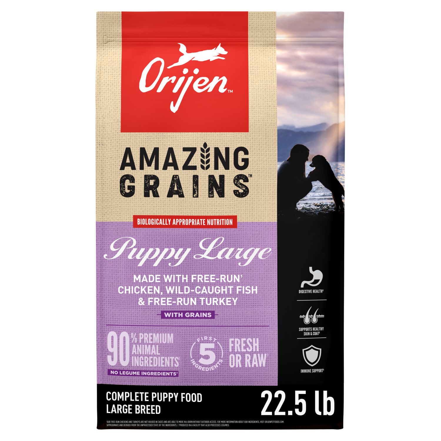 Orijen Amazing Grains Puppy Large High-Protein Dry Dog Food, 22.5-Lb Bag