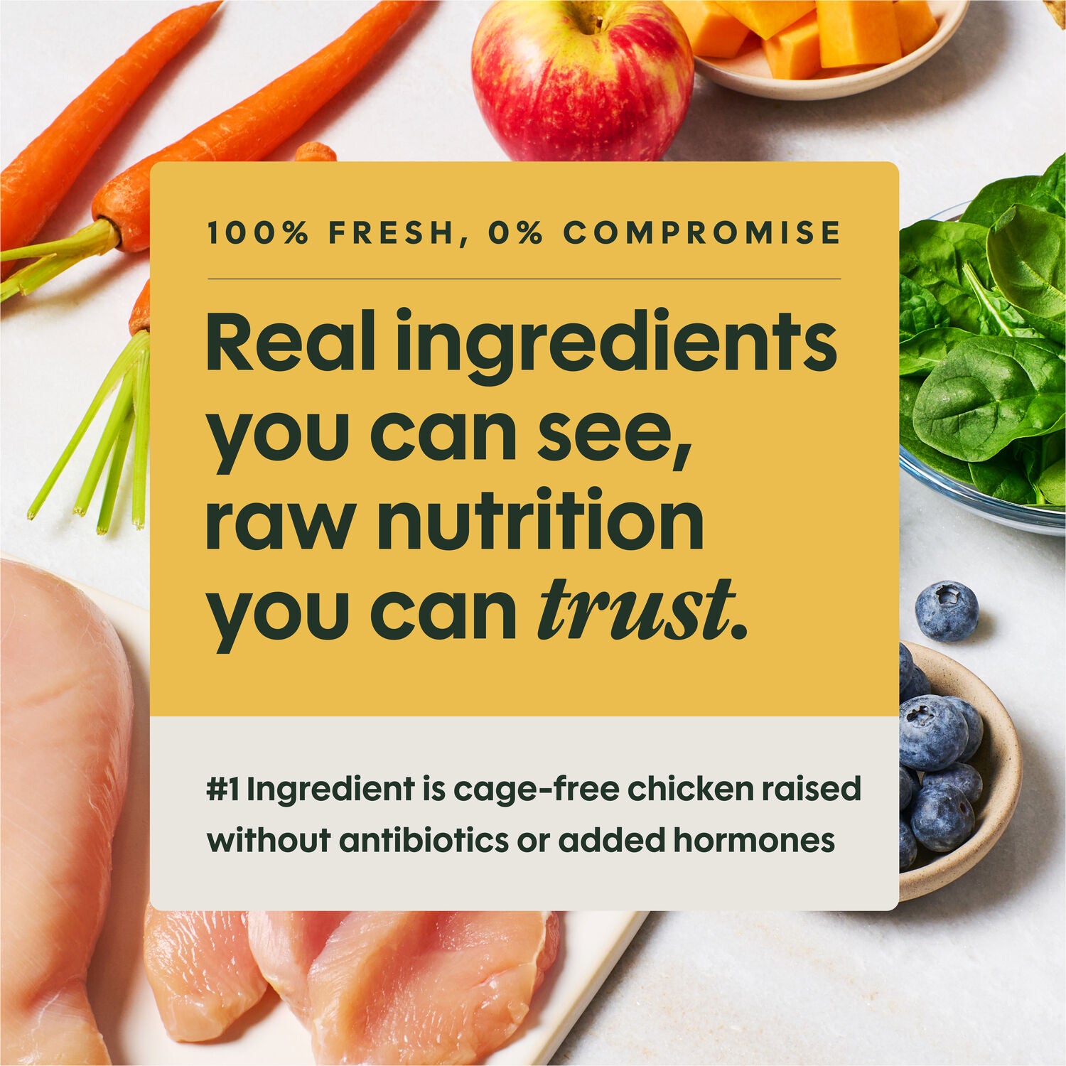 Instinct Freshraw Meals Cage-Free Chicken Recipe Frozen Dog Food, 8-Ounce Pack