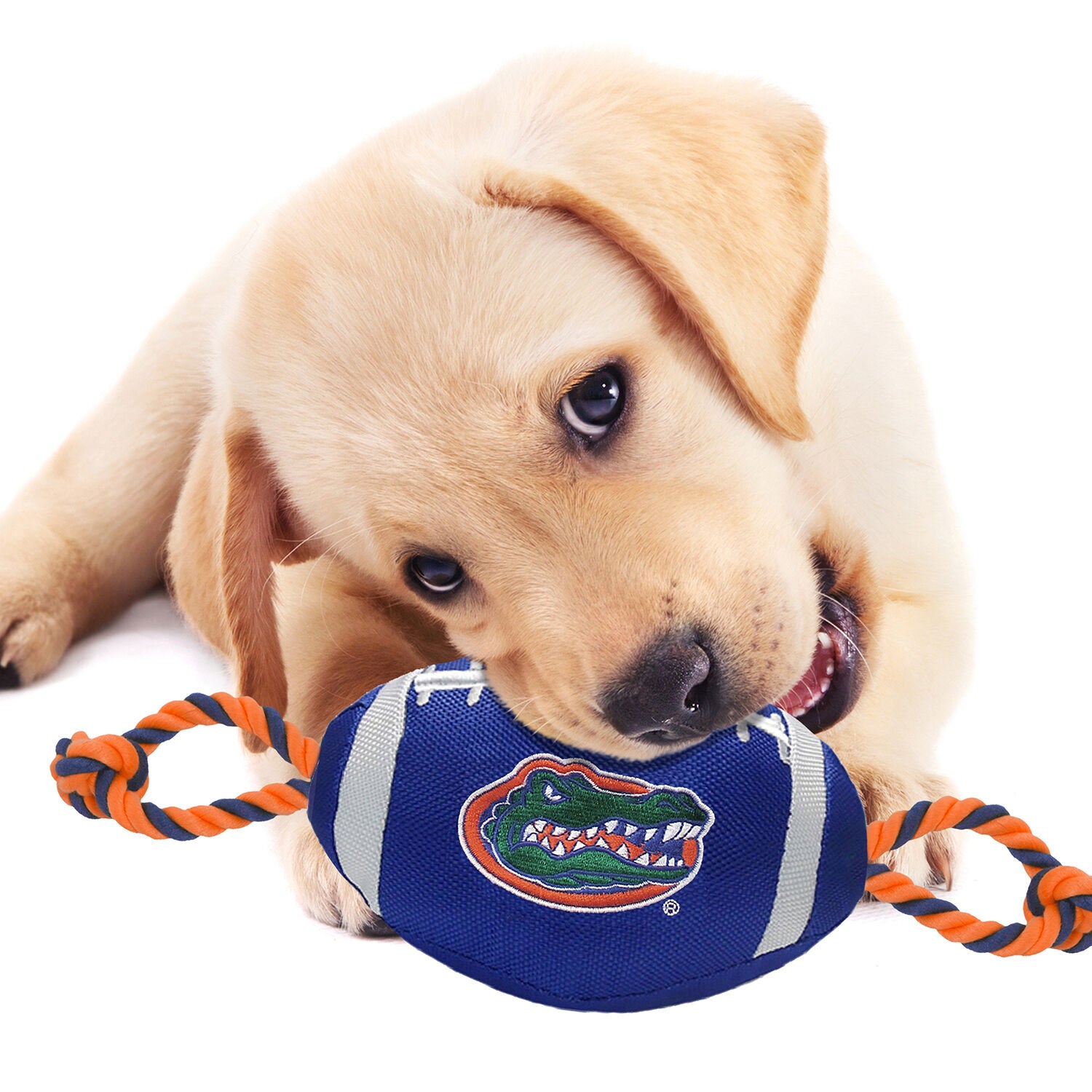 Pets First University Of Florida Gators Plush Rope And Tug Football Dog Toy