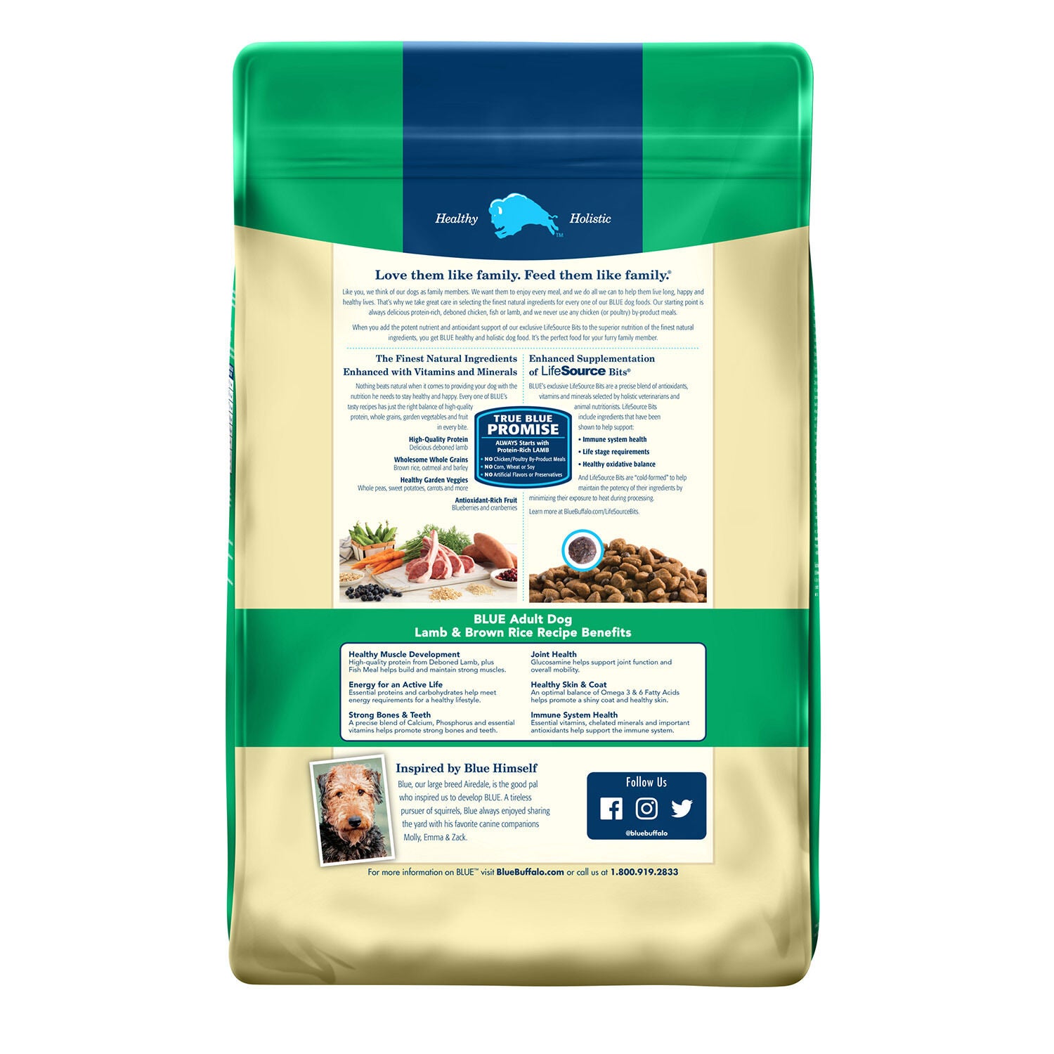 Blue Buffalo Life Protection Lamb & Brown Rice Adult Dog Food