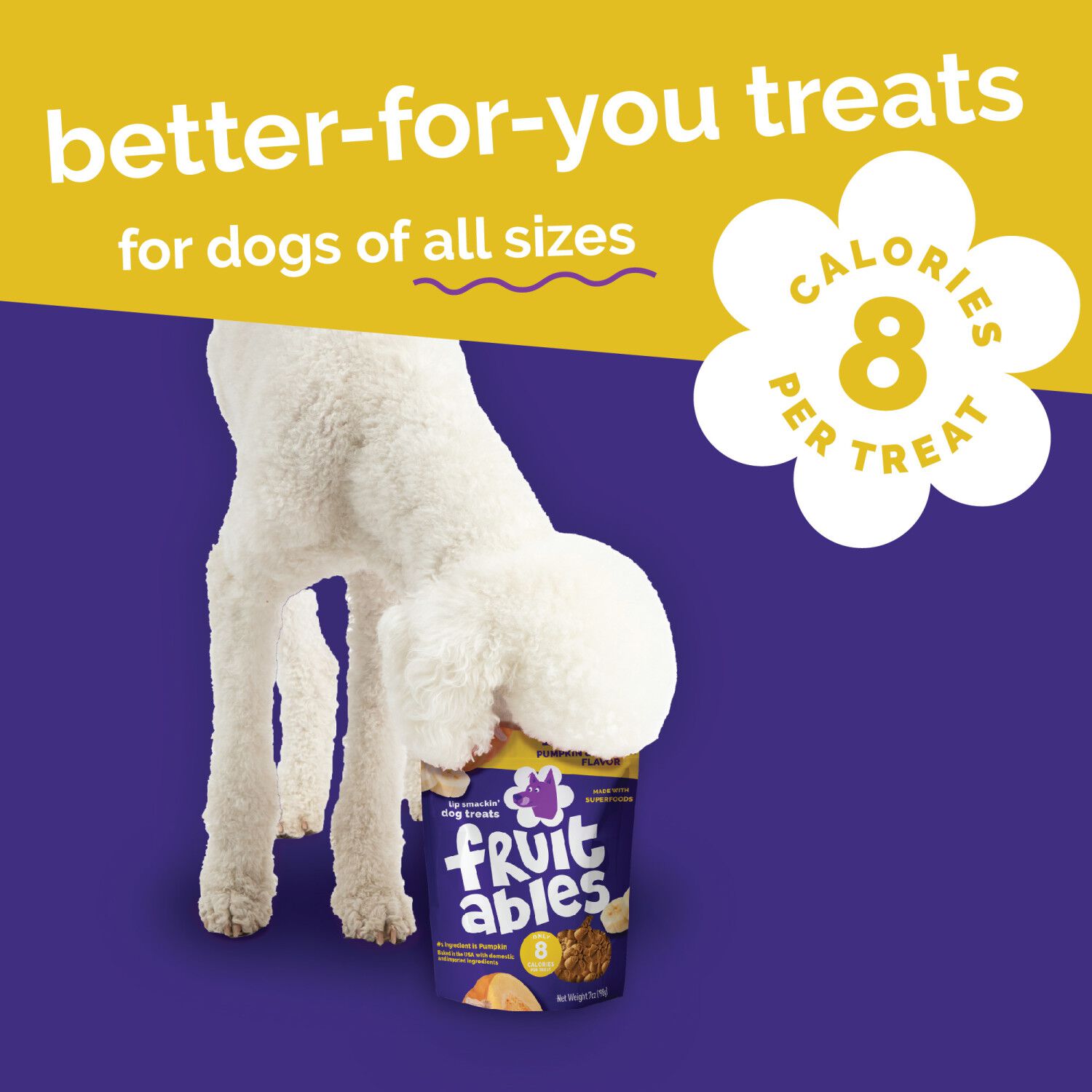 Fruitables Pumpkin & Banana Low Calorie Baked Crunchy Dog Treats, 12-Oz Bag