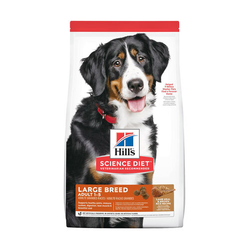 Adult Large Breed Lamb Meal & Brown Rice Recipe Dog Food