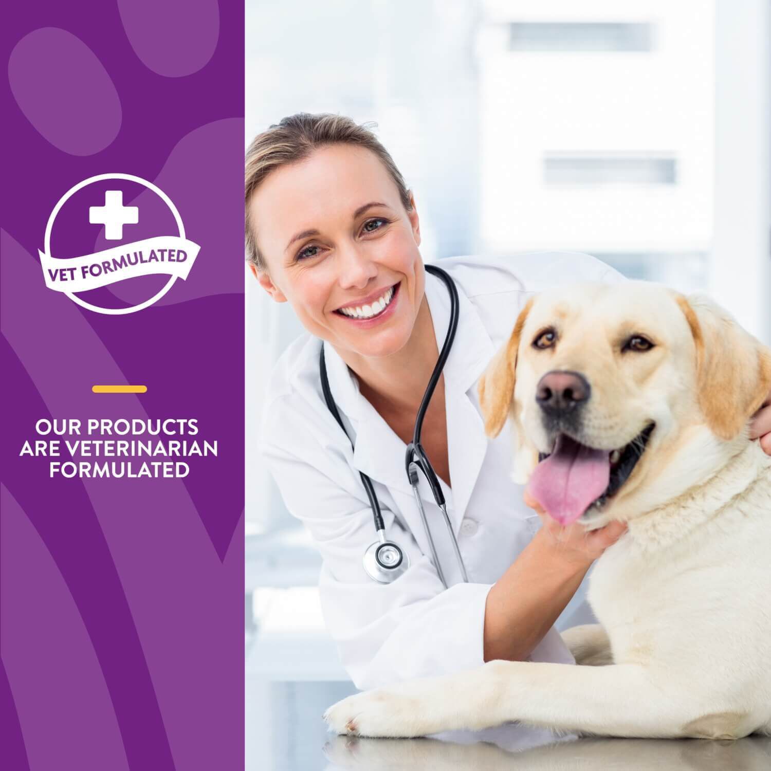 Naturvet Vitapet Senior Daily Vitamins Plus Glucosamine Soft Chews For Dogs