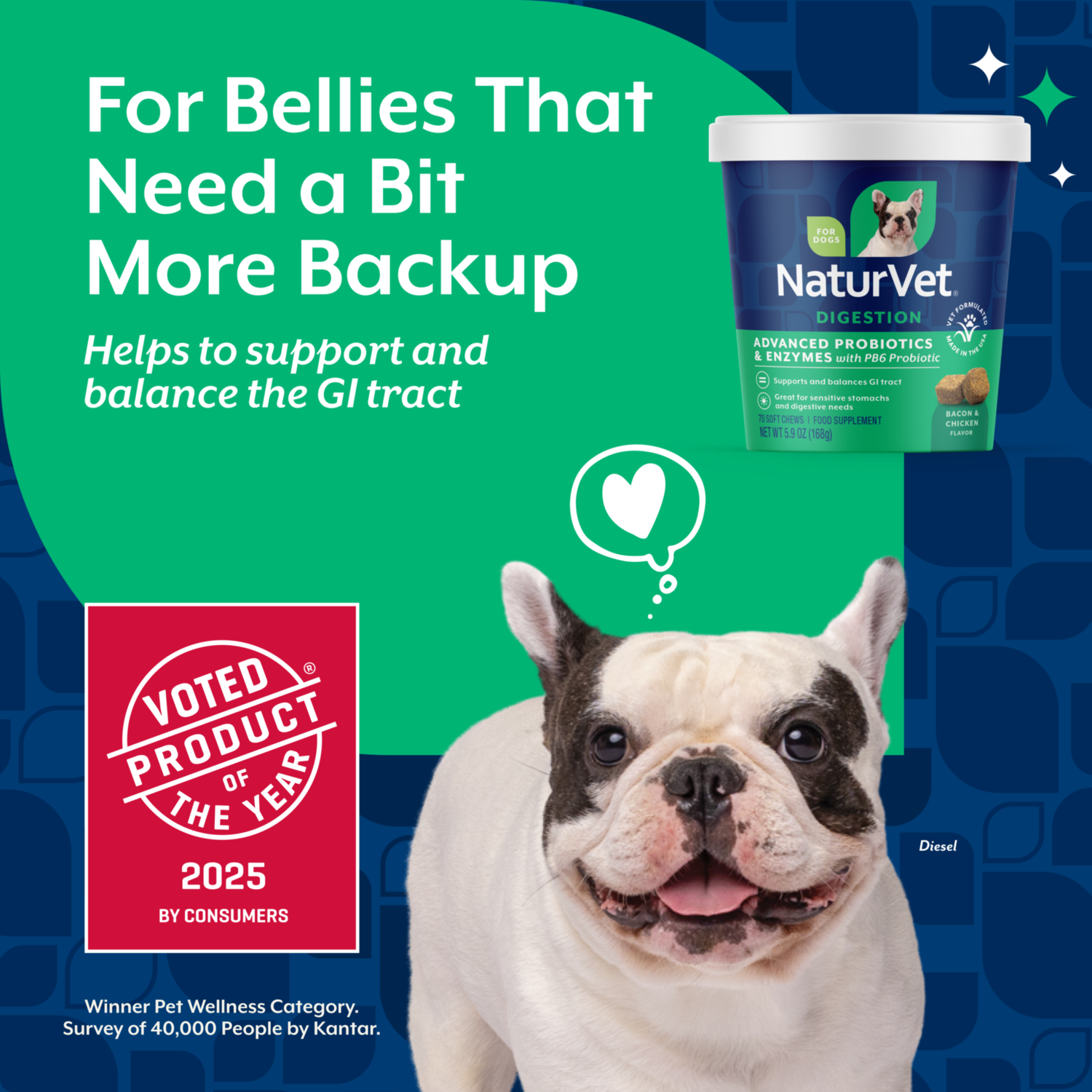 Naturvet Advanced Probiotics And Enzymes Supplement, Plus Vet Strength Pb6 Probiotic For Dogs