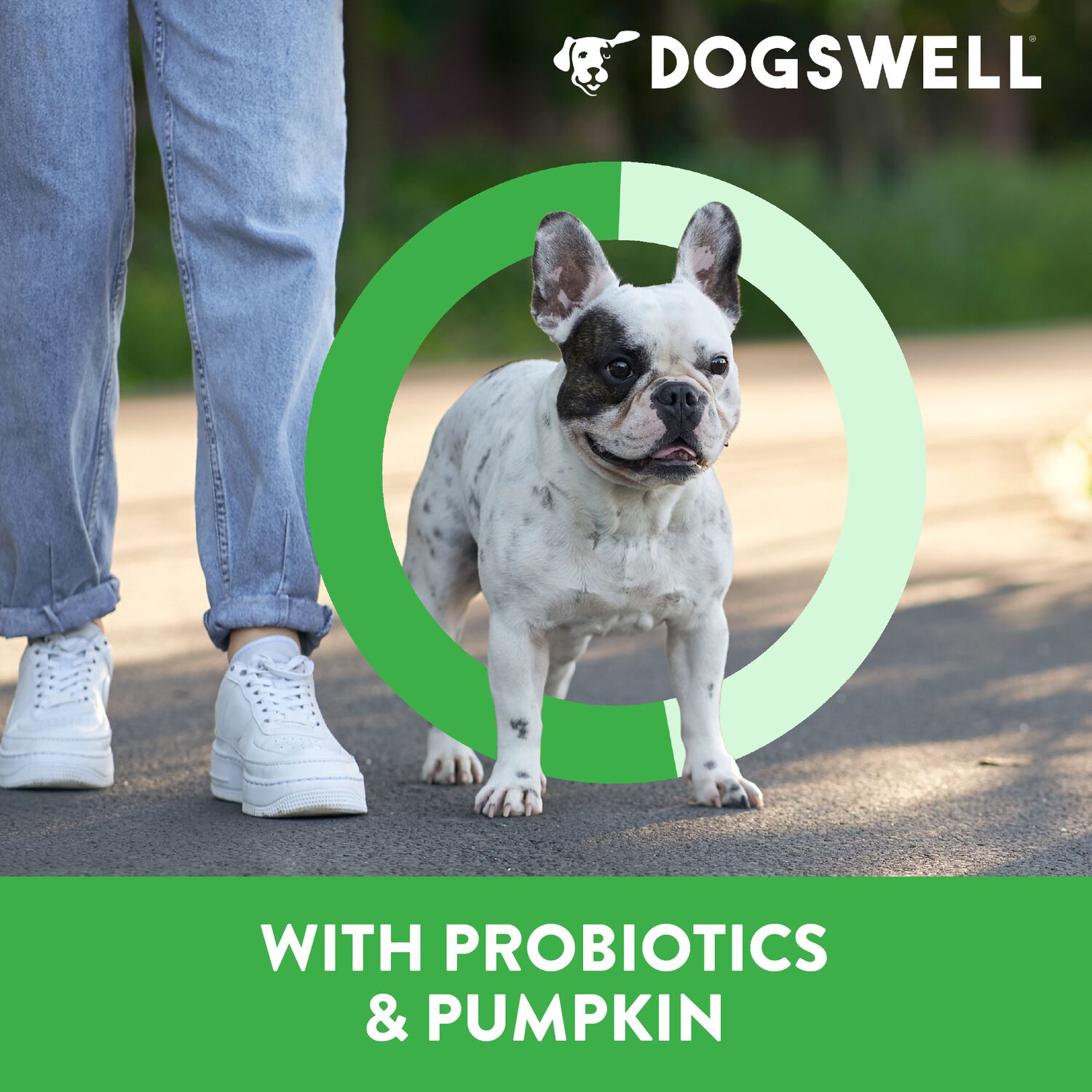 Dogswell Gut Health Single-Ingredient Jerky Dog Treats, Lamb, 10-Oz