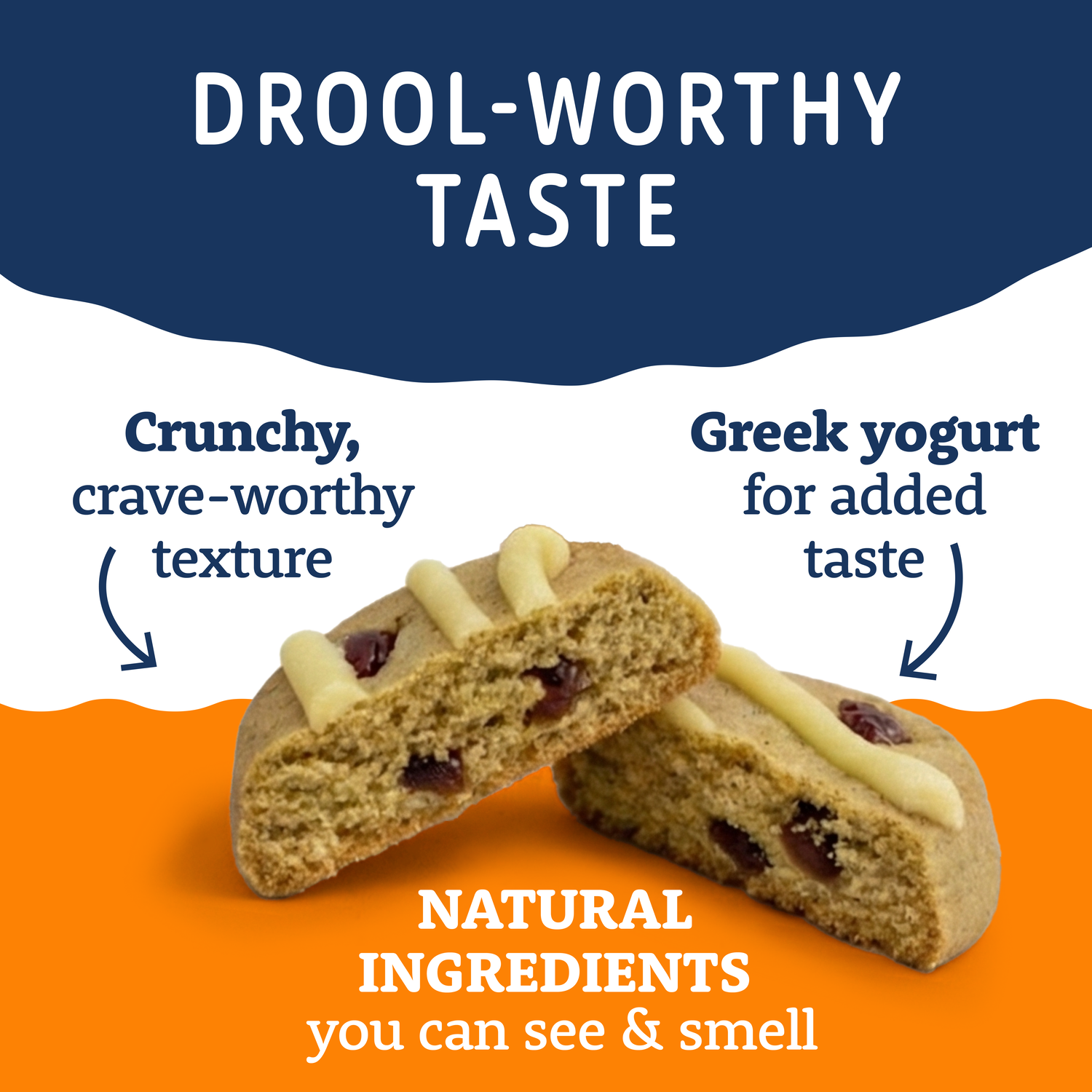Natural Balance Yo-Gut Bites Biscuit Dog Treats, Pumpkin & Cranberries With Greek Yogurt Drizzle, 10-Oz Bag