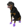 Natural Rubber Waterproof Dog Boots thumbnail number 5