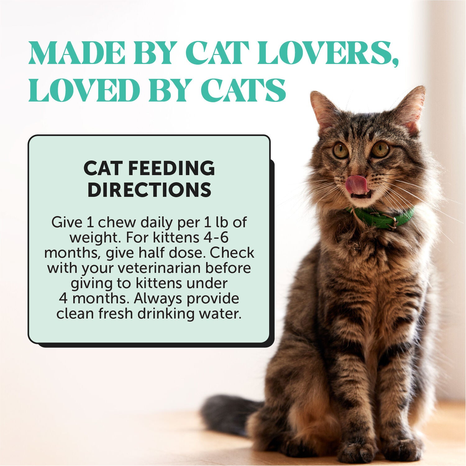 Pet Honesty Fresh Breath Chicken Flavor Dental Bites Crunchy Cat Supplements, 3.7-Oz Pouch
